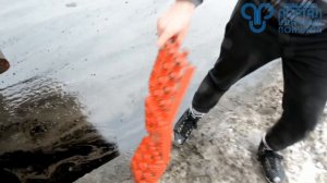 Экстремальный тест противобуксовочных лент Антибукс Z-TRACK PRO