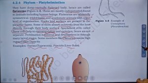 NEET/KINGDOM-Platyhelminthes/Animal kingdom/Biology Class 11