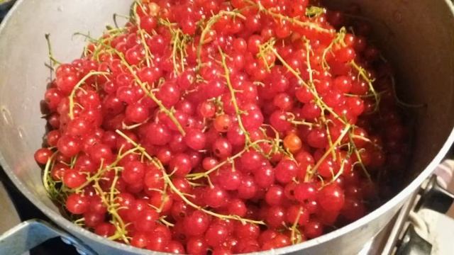 Желе з порічок (або з малини)/швидко, просто і смачно/домашні рецепти #простоісмачно