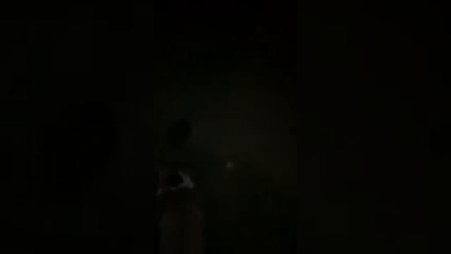 Pitbull Персей против ежика. Ежик выйграл !!!!!! смотреть онлайн