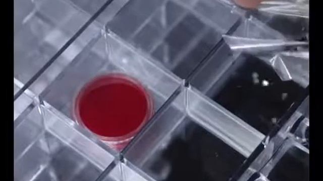 Monja 120/72 Grids Nail Art Decoration Accessories Clear Storage Box Rhinestones Crystal Manicure смотреть онлайн