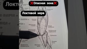 Болят локти. Восстановление для массажиста. Самомассаж локтевой мышцы. Доктор Артем Пак