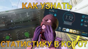 КАК УЗНАТЬ ВСЮ СТАТИСТИКУ КСГО - ВСЯ СТАТИСТИКА КС ГО (гайд)