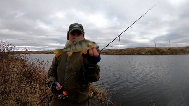 Ловля окуня в коряжнике. Новый пруд с дерзким окунем смотреть онлайн