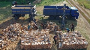 Заготовка  и отгрузка дров. Дрова от Романыча. Челябинская область. с. Хомутинино 2022