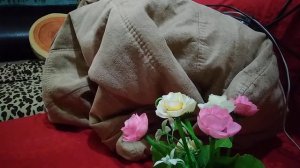 МАЛЕНЬКАЯ СТРАНА, ПЕСНЯ ПРО МАМУ, ДЕНЬ МАТЕРИ 2018