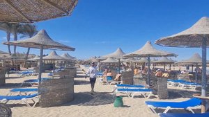 Malikia Resort Abu Dabbab. Обзор 2022