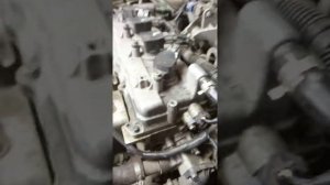 разъём на датчик распредвала альмера н 16