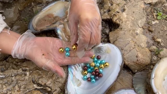 Super surprise! I picked up pearl oysters in the duck pond and saw brown pearls for the first time смотреть онлайн