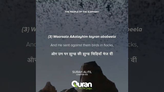 Surah Al Fil | The People of the Elephant | Hindi Translation
