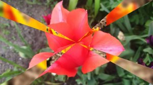 Исцеляющий Инструмент. Лечебная музыка для сердца. Успокаивает нервную систему.