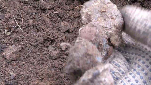 Гранаты Шиловского золотоносного месторождения. Garnet смотреть онлайн