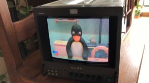 Monitor Sony PVM-8041Q TRINITRON