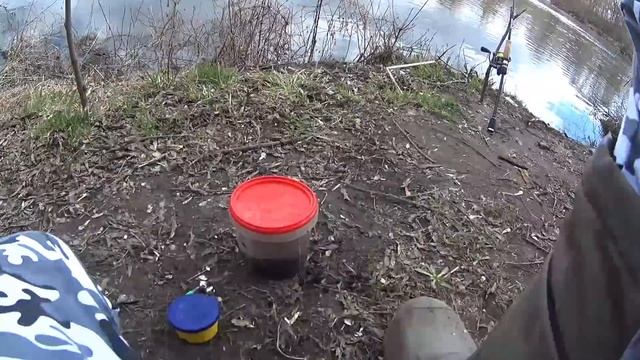 Рыбалка на закидушки весной.Реакция рыбы на Корвалол