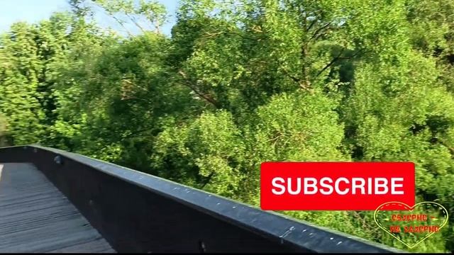 Voronina Life//Может себе позволить//Обзор видео смотреть онлайн