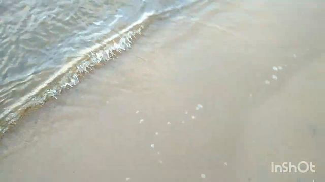 Прогулка в парке Северное Тушино в Москве... смотреть онлайн