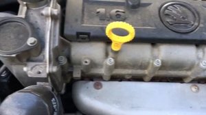 Skoda rapid 1.6 cfna звук двигателя