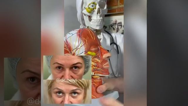 Вопросы и ответы. Что такое малярные мешки?