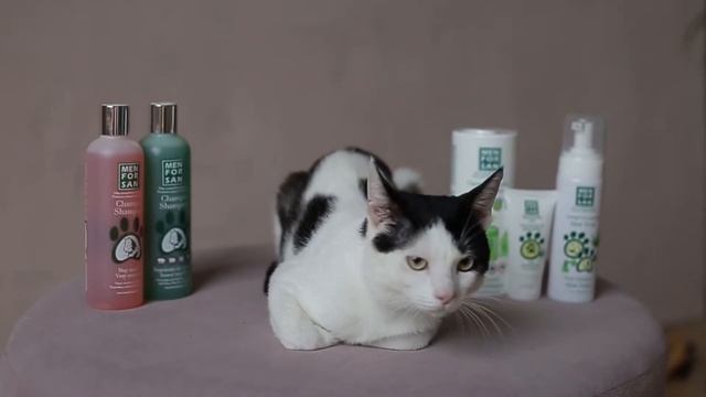 Шампунь для шпица . Men for San . Менфосан