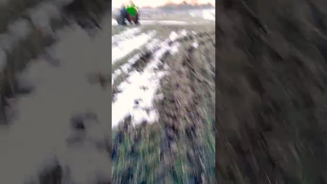 Підживлення пшениці по мерзлоталому. Настройка польського РУМа.