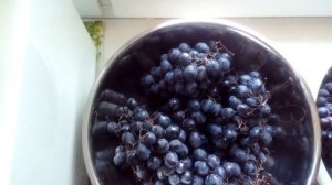 Виноград Молдова Как хранить зимой Кривой Рог