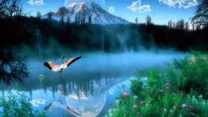 Alexey Romeo Feat Jwell - Я Тебе Одной Обещаю (Julia Luna Radio Edit)