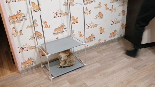 Сделали полную перестановку во всем доме. Наша комната, организация пространства и хранение вещей. смотреть онлайн