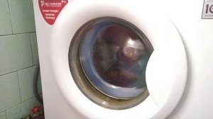 Гудит стиральная машина. Износ подшипника.