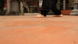 Вьетнамское кунг-фу.Тренировка с кольцами.Vietnam KUNG FU