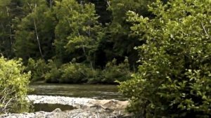 ЖУТКИЕ СУЩЕСТВА СНЯТЫЕ НА КАМЕРУ, СТРАШНЫЕ МОМЕНТЫ