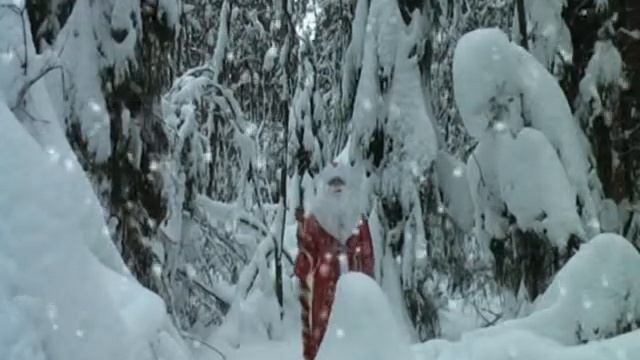 Добрый Дедушка Мороз и милая Снегуручка на дом.avi