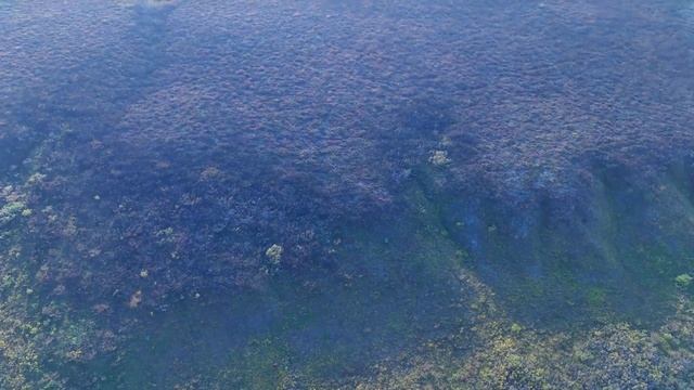 ОСЕННЯЯ ТУНДРА С ВЫСОТЫ. РАЙОН РЕКИ ЮНЬ-ЯГА смотреть онлайн