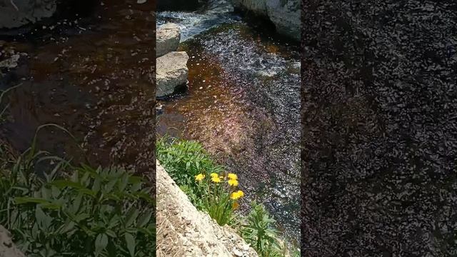 ЖУРЧАЩИЙ РУЧЕЕК- ЛЮБОВЬ ИЗ ДЕТСТВА.