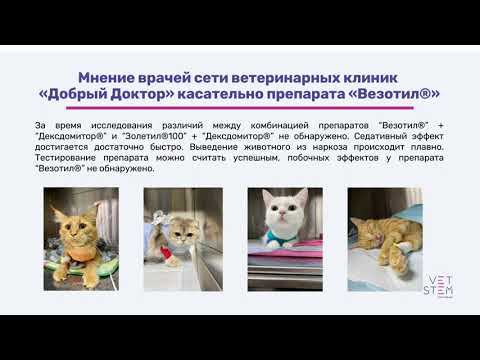 Анестетик для кошек и собак Везотил. Клинические исследования