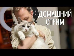 Домашний уютный стрим