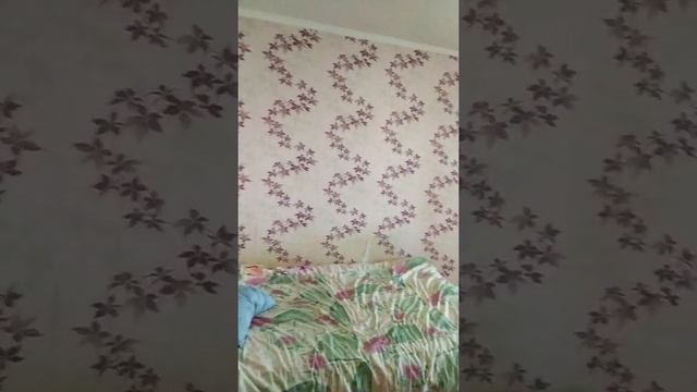 1-комнатные апартаменты 42 кв.м. у моря. Цена: 1,7 млн.руб. смотреть онлайн