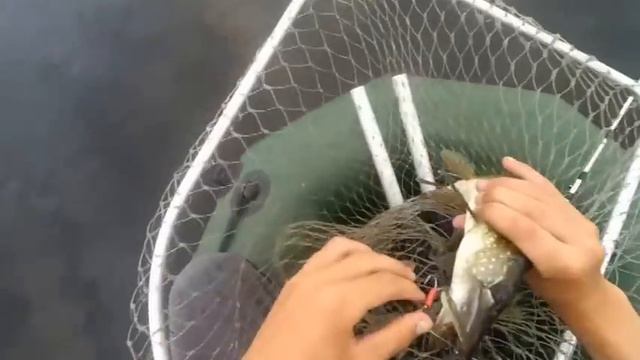 Ловля щуки на спиннинг. Река- Жентай (с.Запорожье). 7.07.2016 смотреть онлайн