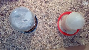 #как #кормить #куропаток