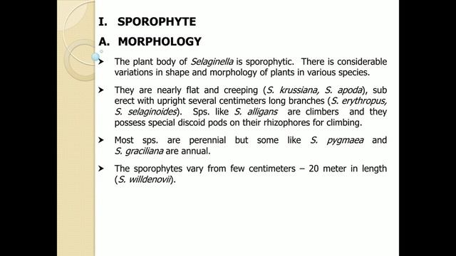 II B.Sc : Botany - Selaginella Part 1 lecture by Dr. Vinayaka K. S.
