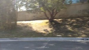 киностудия 20 век фокс