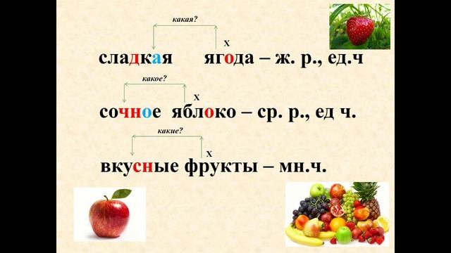 Род имени существительного яблоко