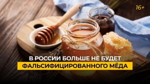 В России больше не будет фальсифицированного мёда