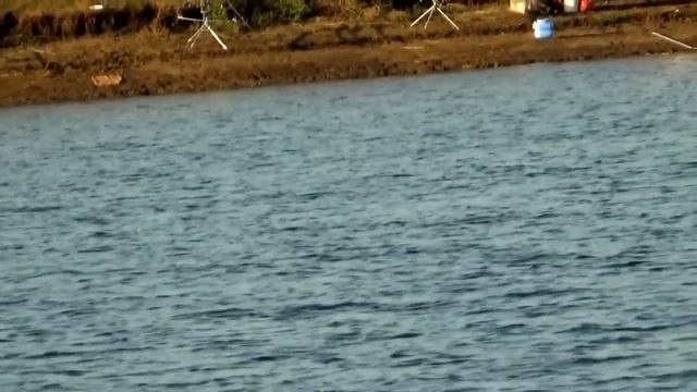 РЫБАЛКА В КРЫМУ,НАСЫПНОЕ,Феодоссийский район смотреть онлайн