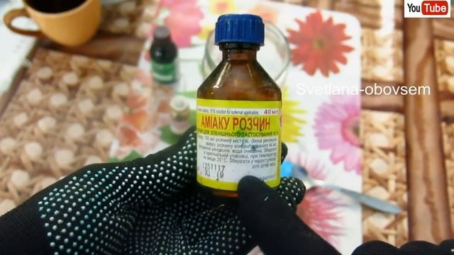 СУПЕР СМЕСЬ №1-в для ТОМАТОВ и ОГУРЦОВ от ФИТОФТОРЫ , АНТРАКНОЗА , ПЕРОНОСПОРОЗА +ПОДКОРМКА смотреть онлайн