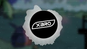 Ksenon, XBRO - С какой стати?