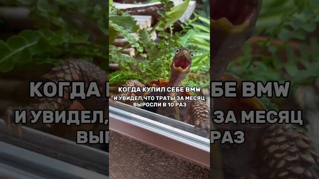 Когда купил себе BMW #shorts