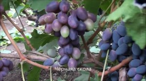 Чёрная скала