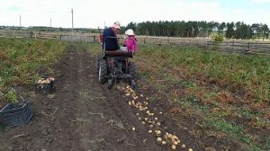 Картофелекопалка электрическая для самодельного минитрактора.