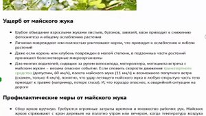 Вред от майского жука