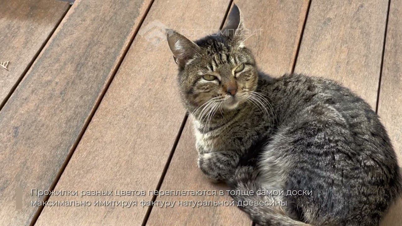 #террасная доска в новой коллекция #МПК - цвета #мультиколор смотреть онлайн